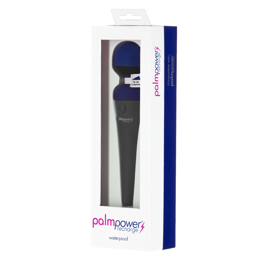 PalmPower® Recharge Massage Wand – Blue - Image 3