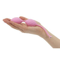 Pillow Talk - Frisky Kegel Balls - Image 4